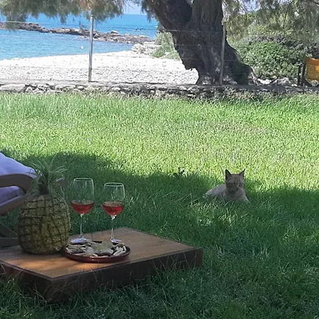 Malsova Kotronion (West Mani)