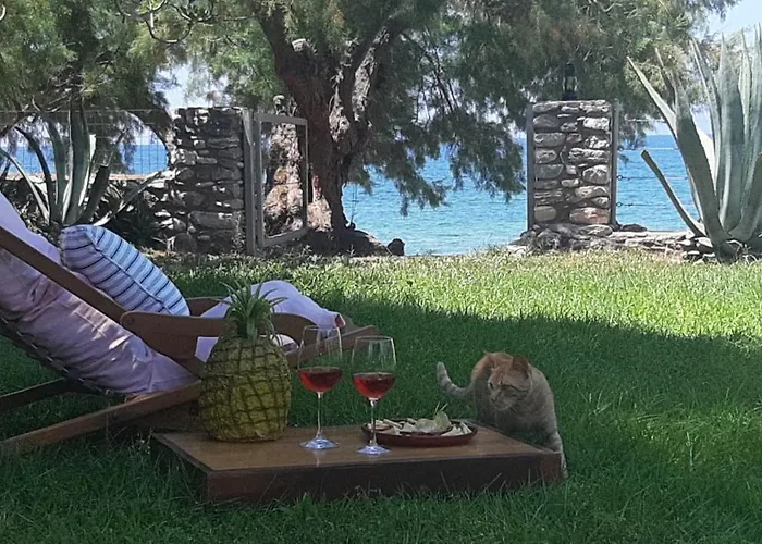 Malsova Kotronion (West Mani)